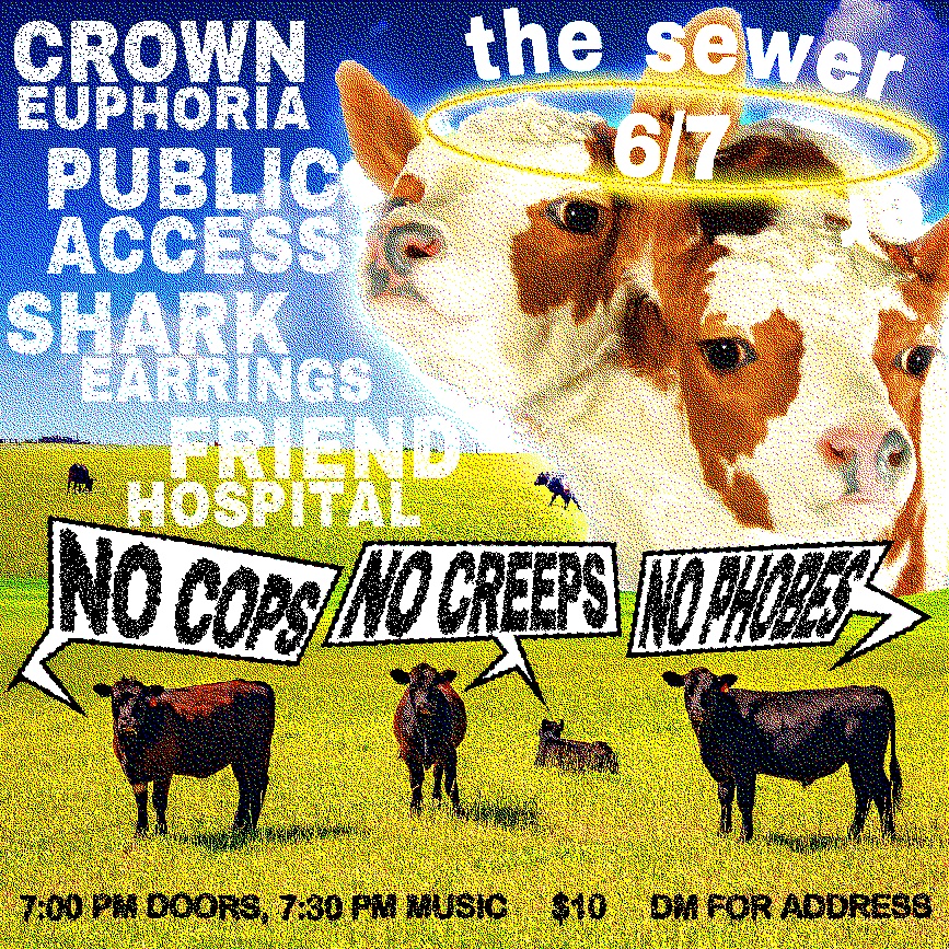 Flyer 7